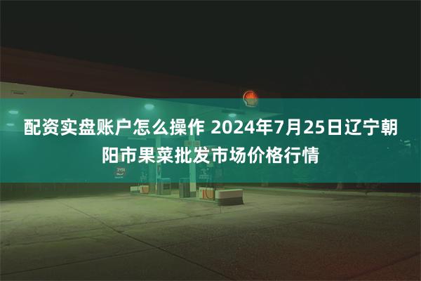 配资实盘账户怎么操作 2024年7月25日辽宁朝阳市果菜批发市场价格行情