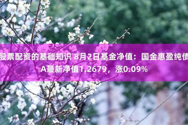 股票配资的基础知识 8月2日基金净值：国金惠盈纯债A最新净值1.2679，涨0.09%