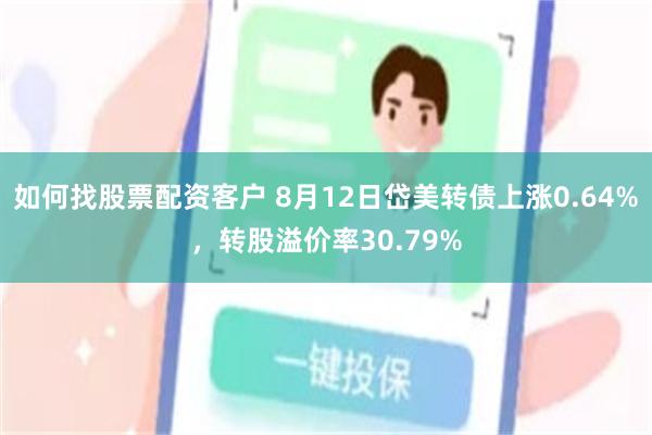 如何找股票配资客户 8月12日岱美转债上涨0.64%，转股溢价率30.79%