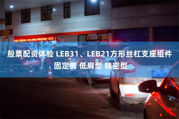 股票配资体验 LEB31、LEB21方形丝杠支座组件 固定侧 低肩型 精密型