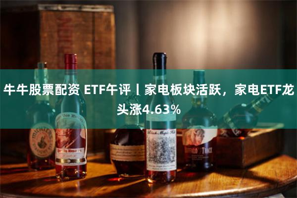 牛牛股票配资 ETF午评丨家电板块活跃，家电ETF龙头涨4.63%