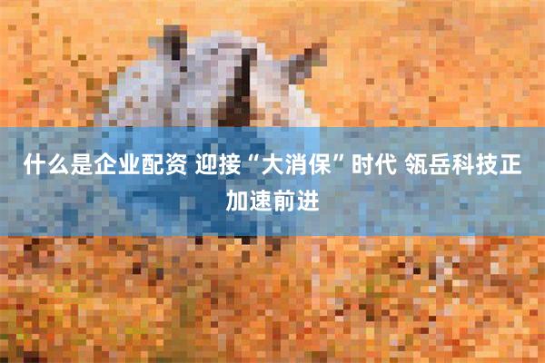 什么是企业配资 迎接“大消保”时代 瓴岳科技正加速前进