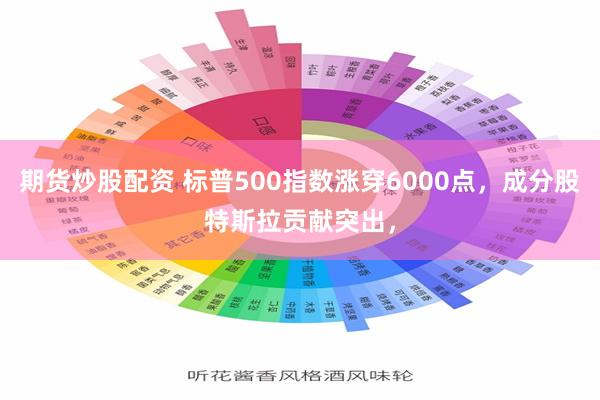 期货炒股配资 标普500指数涨穿6000点，成分股特斯拉贡献突出，