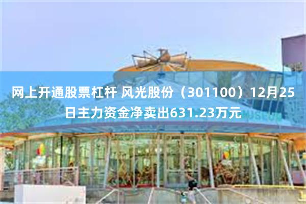 网上开通股票杠杆 风光股份（301100）12月25日主力资金净卖出631.23万元