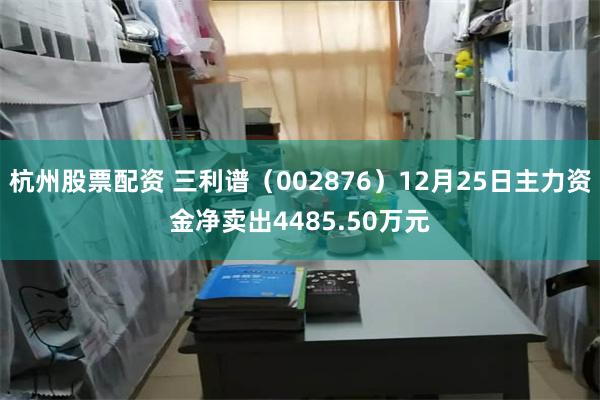 杭州股票配资 三利谱（002876）12月25日主力资金净卖出4485.50万元