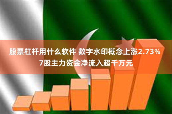 股票杠杆用什么软件 数字水印概念上涨2.73% 7股主力资金净流入超千万元