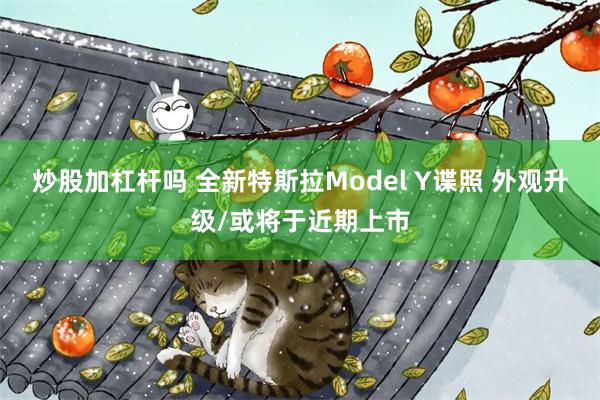 炒股加杠杆吗 全新特斯拉Model Y谍照 外观升级/或将于近期上市