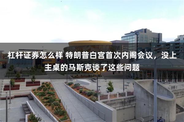 杠杆证券怎么样 特朗普白宫首次内阁会议，没上主桌的马斯克谈了这些问题