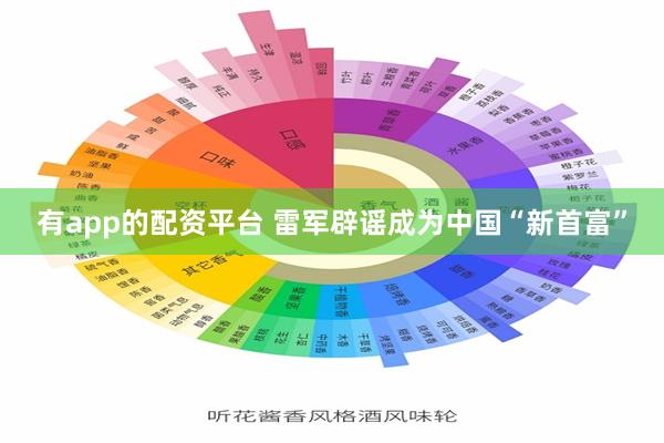 有app的配资平台 雷军辟谣成为中国“新首富”